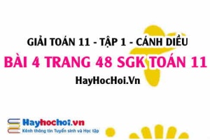 Giải bài 4 trang 48 Toán 11 tập 1 SGK Cánh Diều